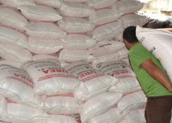 Ilustrasi pupuk bersubsidi. (ANTARA)