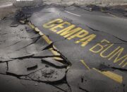 Tsunami Imbas Gempa Rusia, BNPB Imbau Warga 5 Provinsi Jauhi Pantai