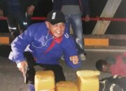 BNNK Pasbar Bekuk Dua Pengedar 14 Kg Ganja Asal Sumut