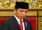 Pemerintah Larang Ekspor Minyak Goreng dan Bahan Bakunya Mulai 28 April 2022