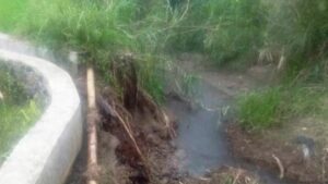 Salah satu areal irigasi yang rusak akibat gempa di Kecamatan Talamau Kabupaten Pasaman Barat, Sumbar yang mengancam areal persawahan di daerah itu mengalami kekeringan. (Foto: Dok. Antara/DPTPHP Pasbar)