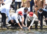 Tebar 4000 Bibit Ikan Bilih di Danau Singkarak, PT Semen Padang Diapresiasi Gubernur