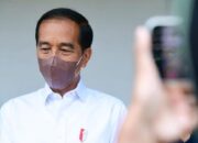 Jokowi Temukan Harga Minyak Goreng Curah masih Mahal di Pasaran