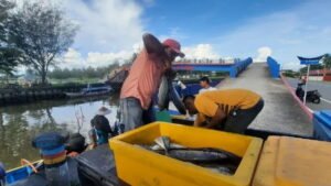 Nelayan memasukkan ikan hasil tangkapan ke dalam kontak pendingin di Muara Gandoriah, Kota Pariaman, Sumbar. (Antarasumbar/Aadiaat M.S)