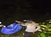Seminggu Menghilang, Mayat Petani Ditemukan Sudah Membusuk di Kebun Sawit di Pasbar