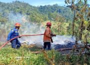 Dalam Sebulan, 20 Kali Kebakaran Lahan Terjadi di Kota Padang