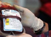 5 Ribu Kantong Darah Dikeluarkan RSUP M Djamil Padang Tiap Bulan