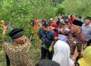 Petani Kesulitan Dapat Pupuk Subsidi, Pemprov Sumbar Siapkan Pupuk Batubara