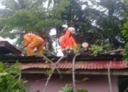 Pohon Tumbang Timpa Rumah Warga di Agam, tak Ada Korban Jiwa