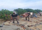 Melanggar, Satpol PP Sita Puluhan Kursi dan Payung Pedagang di Pantai Muaro Lasak