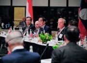 Bertemu CEO di AS, Jokowi Tawarkan Investasi di Sektor Industri dan Energi Terbarukan