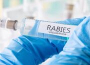 Gigitan HPR di Tanah Datar Meningkat, Satu Kasus Berujung Kematian