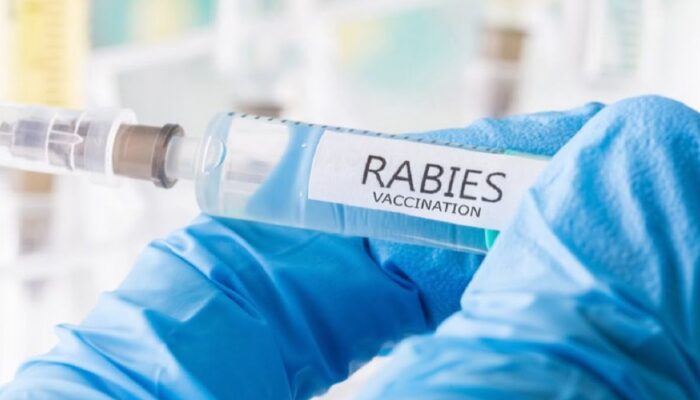 Gigitan HPR di Tanah Datar Meningkat, Satu Kasus Berujung Kematian