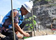 Peringati Hari Lingkungan Hidup se-Dunia, Semen Padang Tanam Pohon di Area Reklamasi Tambang