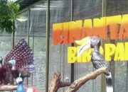 Pemko Bukittinggi masih Berlakukan Tarif Lama Masuk ke Objek Wisata