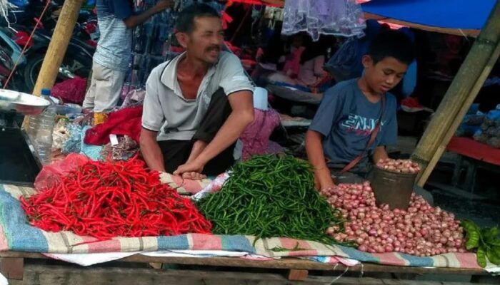 Akhir Januari 2026, Harga Pangan di Sumbar, Sumut, dan Aceh Menurun