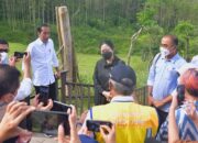 Presiden Jokowi Optimistis Pembangunan IKN Berjalan Lancar
