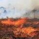 ilustrasi lahan terbakar