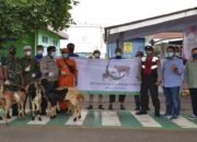 Berkah Idul Adha 1443 H, Elnusa Petrofin Salurkan 9.300 Paket Hewan Kurban