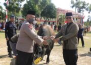 Polda Sumbar Salurkan 59 Sapi dan 2 Kambing Kurban