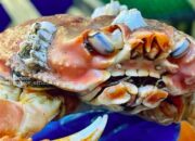 Kepiting Langka Bergigi Manusia Ditemukan, Bentuknya Sedikit Menyeramkan