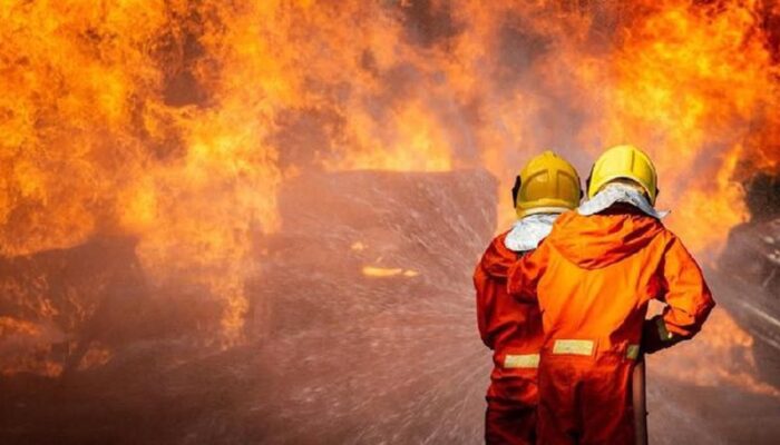 Kebakaran Bukit Teletabis Pasaman Padam, Petugas masih Siaga Antisipasi Api Susulan