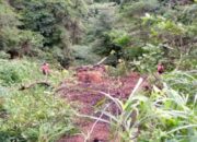 Diduga Rem Blong, Truk Meluncur Masuk Jurang di Sitinjau Lauik