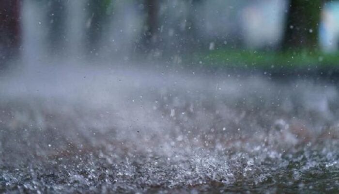 BNPB: 1.824 Warga Terdampak Banjir di Padang Pariaman, Tujuh Kecamatan Terisolasi