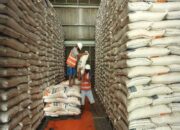Hadapi Krisis Pangan Global, Pemerintah Pastikan Produksi Beras Nasional Surplus
