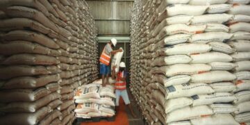 Ilustrasi stok beras. (net)