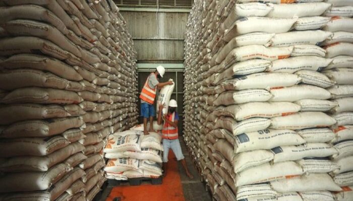 Efek Swasembada Beras dan Program MBG, Sektor Pertanian Catat Pertumbuhan Tertinggi 10 Tahun Terakhir