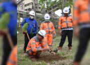 Semen Padang Kembali Hijaukan Area Pabrik