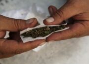 Hendak Edarkan Ganja, Pemuda Pengangguran Dibekuk Polisi di Padang