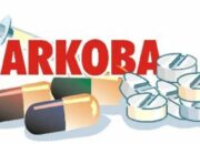 Kriminalitas dan Kasus Narkoba di Bukittinggi Naik Sepanjang 2025