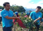 Pemkab Agam Bersihkan Danau Maninjau dari Limbah