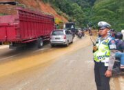 Jalur Padang-Solok Sudah Bisa Dilalui Pasca Pohon Tumbang