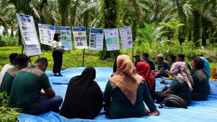Program Training for Smallholders berupaya meningkatkan mata pencaharian petani swadaya dengan mengintegrasikan mereka ke dalam rantai pasokan minyak sawit berkelanjutan. (Foto: Musim Mas)