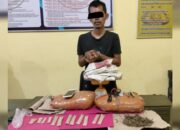 Dua Pengedar Dibekuk, Polres Pessel Sita Dua Paket Besar Ganja Kering