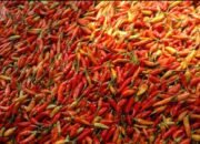 Cabai Merah dan Bawang Murah Lagi, Ini Update Harga Pangan Nasional