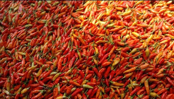 Cabai Merah dan Bawang Murah Lagi, Ini Update Harga Pangan Nasional