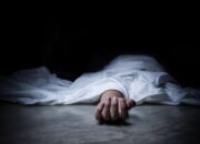 Tertimpa Pohon Sawit Saat Replanting, Wanita 35 Tahun di Dharmasraya Meninggal