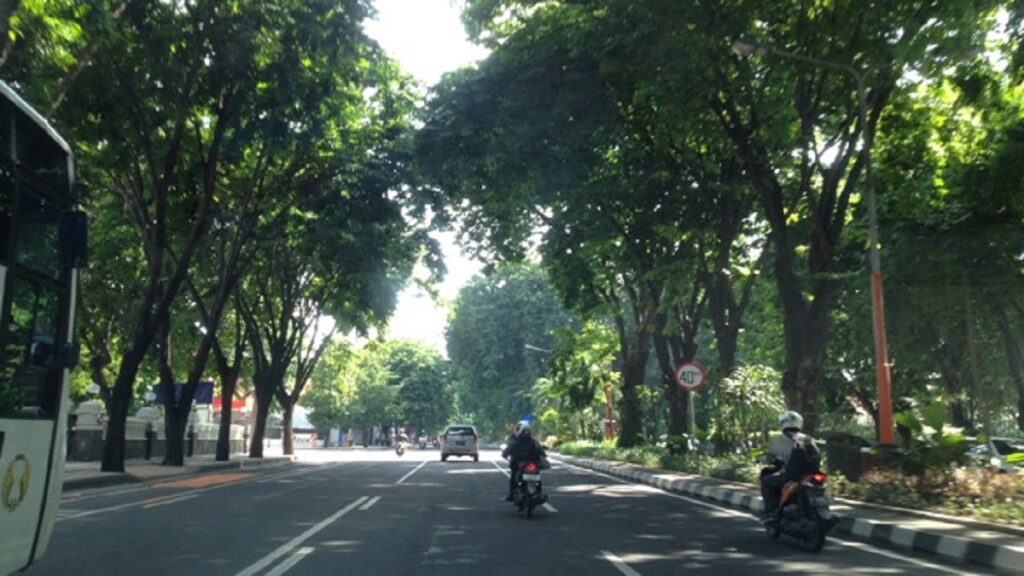 Pohon pelindung yang ada di Kota Padang