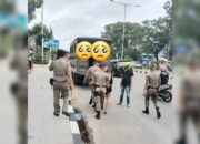 Dianggap Mengganggu Ketertiban Umum, Satpol PP Padang Jaring Sepuluh Anjal