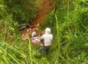 Mobil Pikap Bermuatan Oli Masuk Jurang di Sitinjau Lauik, Sopir Berhasil Selamat