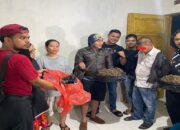 Simpan 1,2 Kg Ganja di Rumah, Pria Baya di Padang Diringkus Polisi