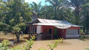 Banjir mengenangi halaman rumah warga di Gadiah Agiak, Nagari Tiku Lima Jorong. (Antara/Yusrizal)