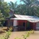 Banjir mengenangi halaman rumah warga di Gadiah Agiak, Nagari Tiku Lima Jorong. (Antara/Yusrizal)