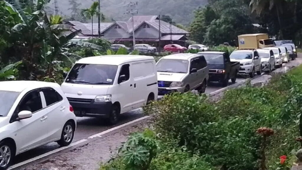 Kendaraan terjebak macet akibat pohon tumbang di Pessel