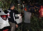 Angin Kencang, Dua Minibus Tertimpa Pohon di Padang