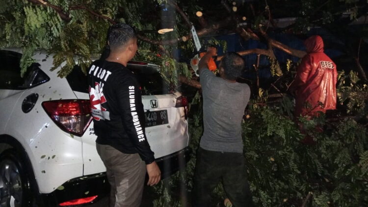Mobil tertimpa pohon di Padang